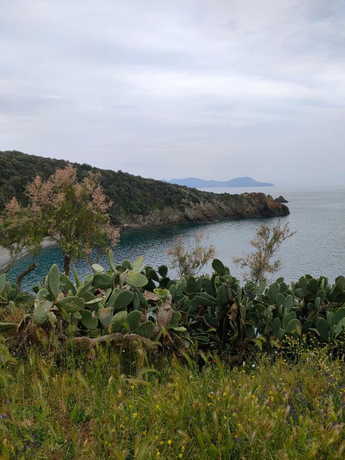 Domus Tilla Piombino Esterno foto